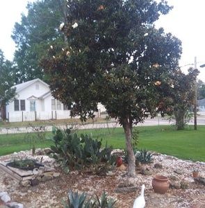 Meet your Posher, Randy